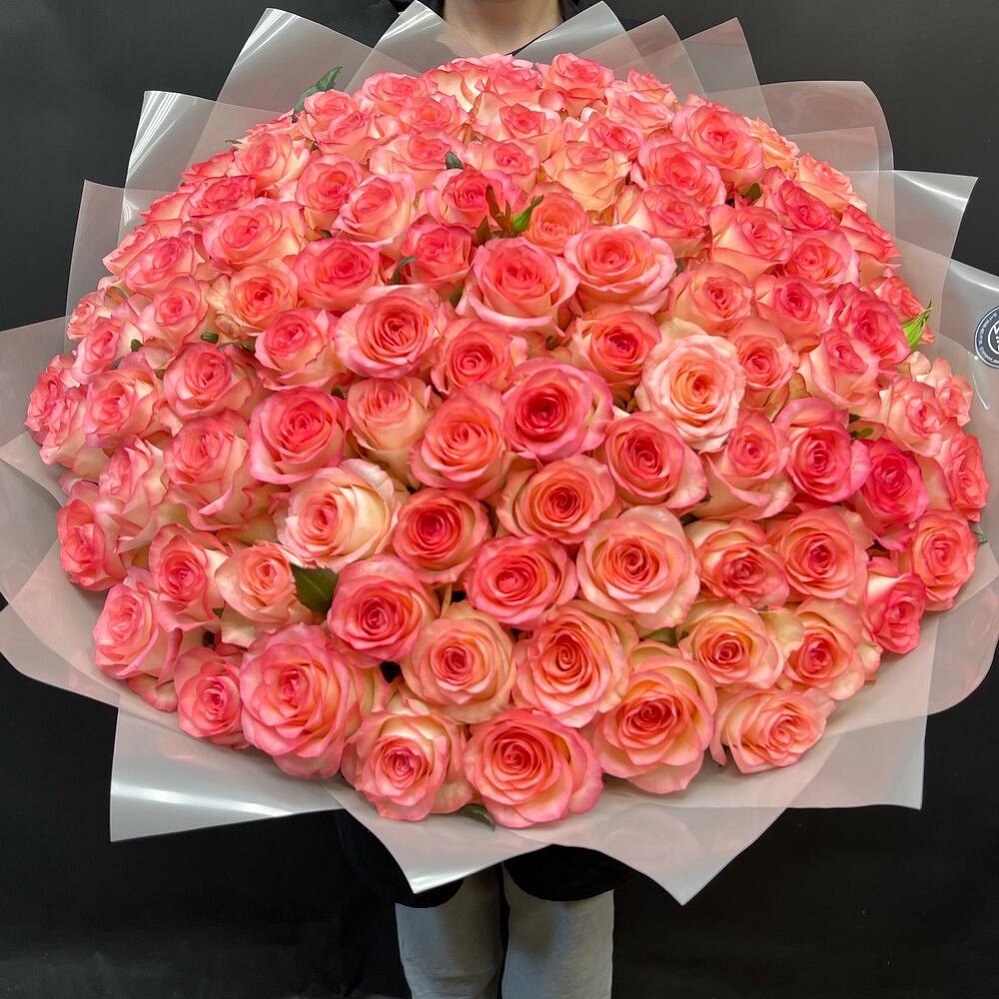 Букет "101 бело-розовая роза 50/60 см"