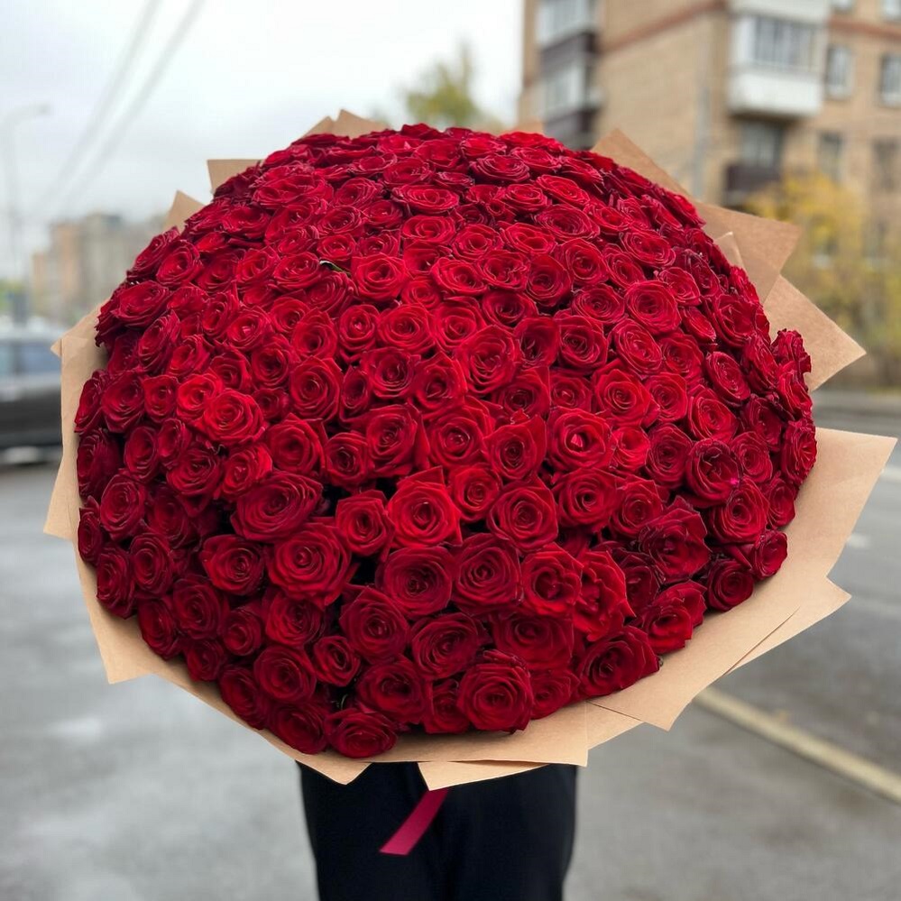 Букет "201 красная роза 50/60 см"