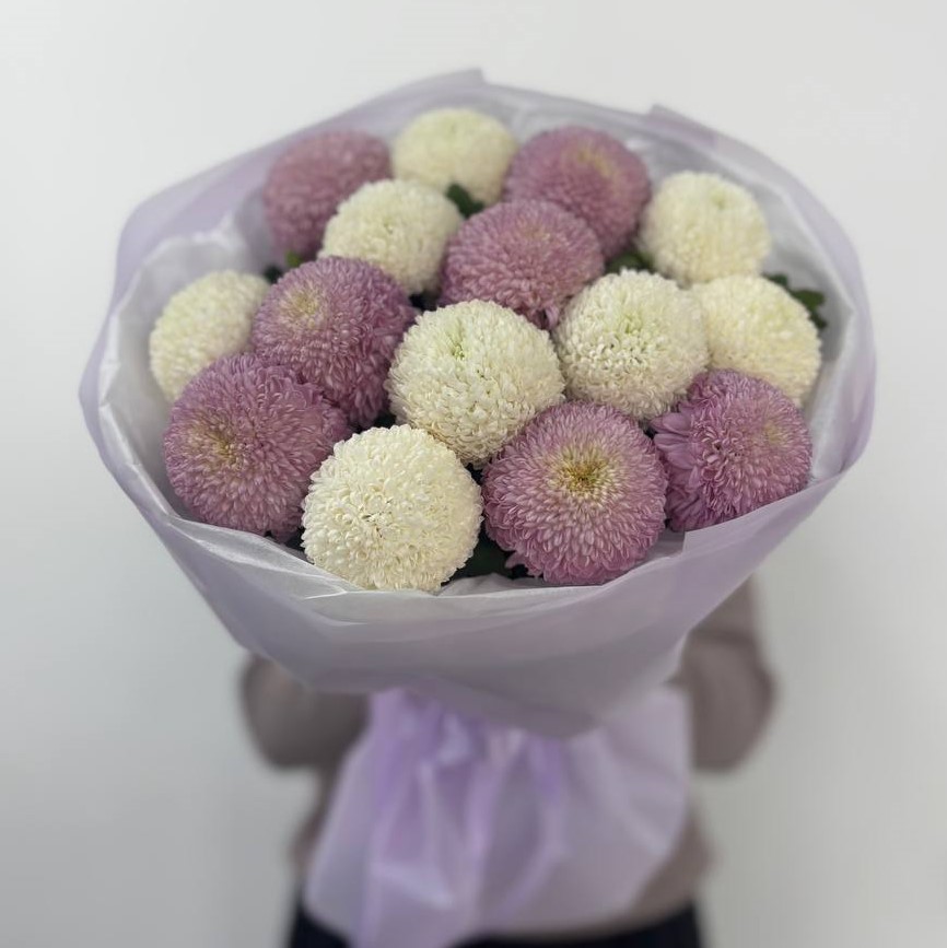 15 белых и сиреневых одноголовых хризантем