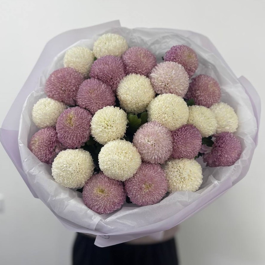 25 белых и сиреневых одноголовых хризантем